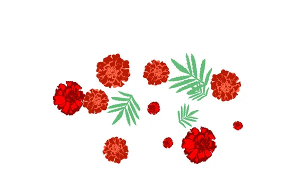 漂亮的花纹和漂亮的花用于贺卡或海报 万寿菊的花朵和叶子 春季或夏季设计的矢量背景 — 图库矢量图片