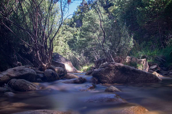 Fluss Aus Seidigem Wasser Fließt Zwischen Felsen Und Bäumen — Stockfoto