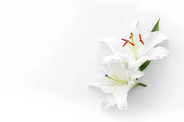 Condolence card with white flowers lily. Funeral symbol