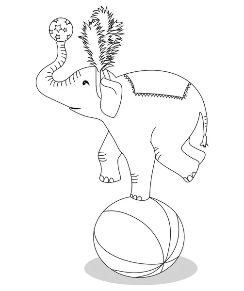 Circus elephant stands on a ball for coloring book — Stock Vector