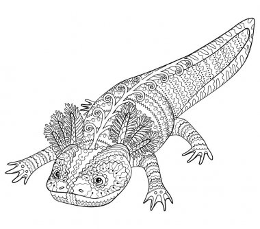 Desenli stilde axolotl ile boyama sayfası.