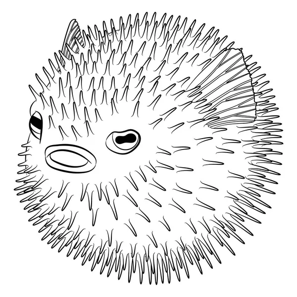 Målarsida med Puffer fisk i mönstrad stil. — Stock vektor