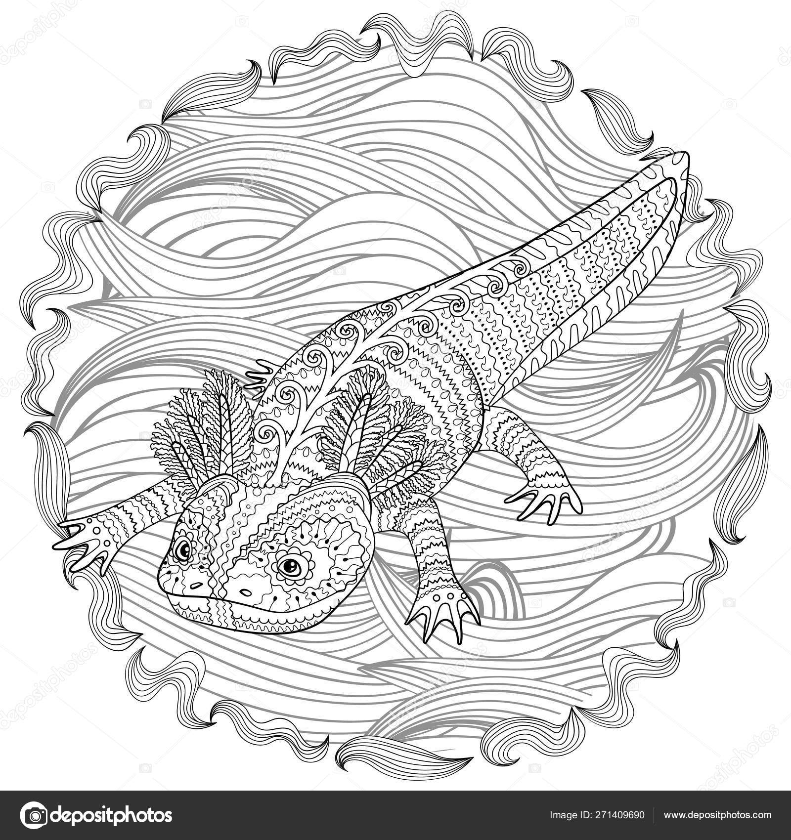 Download Axolotl Coloring Page Pictures