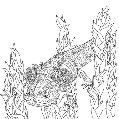 Desenli stilde axolotl ile boyama sayfası.