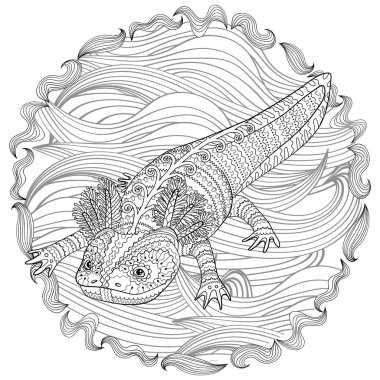 Desenli stilde axolotl ile boyama sayfası.