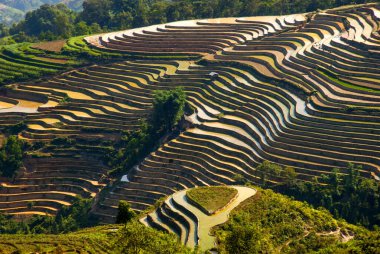 Doktor Tham Ma - Ha Giang 