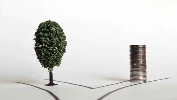 Tree Pile Coins Each Two Roads Stock Photo
