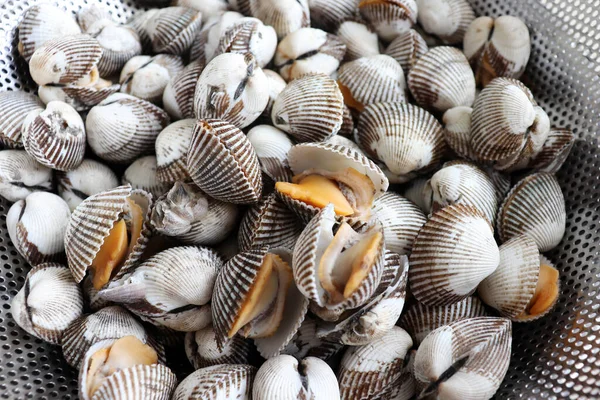 Close Images Cooked Shellfish — Stock Photo, Image