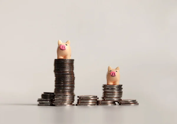 Zwei Rosafarbene Miniatur Schweinchen Auf Einem Haufen Münzen — Stockfoto