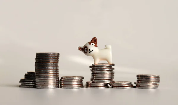 Der Haufen Münzen Und Ein Miniaturhund — Stockfoto