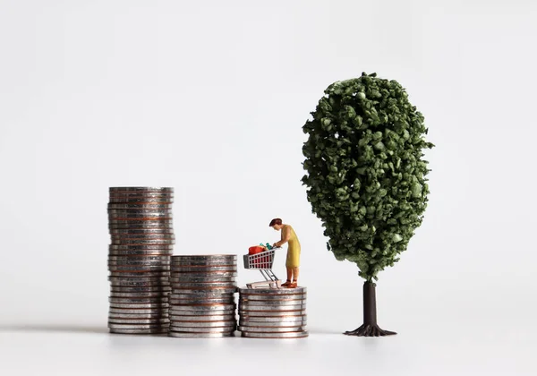 Miniature Woman Standing Shopping Cart Three Pile Stepped Coins Next Royalty Free Stock Images