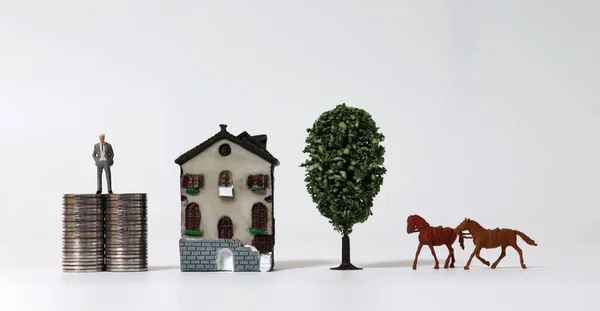 Miniaturhaus Miniaturbäume Und Miniaturpferde Neben Dem Miniaturmann Der Auf Einem — Stockfoto