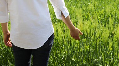 Yeşil arpa tarlasında yürüyen bir kadının arkası..