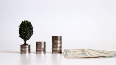 Üç bozuk para yığını ve içinde Amerikan doları olan minyatür bir ağaç..