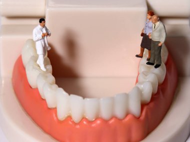 Doktor ve yaşlılar bir diş modelinin üzerinde duruyorlar. Sağlık ve iş dünyası kavramları.