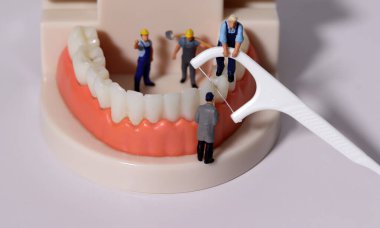 Minyatür insanlar diş modellerinde dişlerini diş ipiyle temizliyor. Ağız bakımı kavramı.