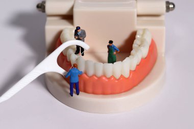 Minyatür insanlar diş modellerinde dişlerini diş ipiyle temizliyor. Ağız bakımı kavramı.
