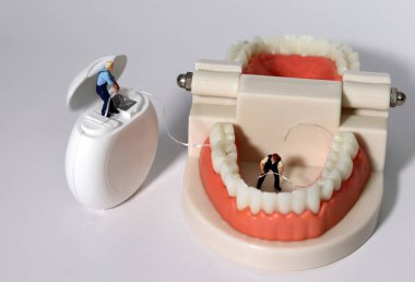 Minyatür insanlar diş modellerinde dişlerini diş ipiyle temizliyor. Ağız bakımı kavramı.