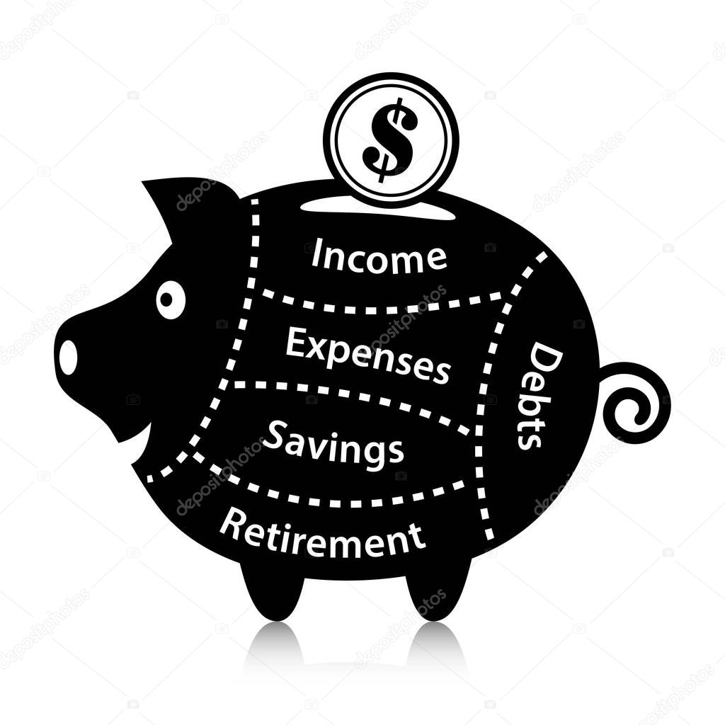 Personal financial plan concept. Money dropping into a happy piggy bank as income. The concept of expenses, savings, debts, and retirement funds are highlighted in sections.