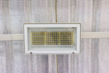 Çatı altında LED ampul