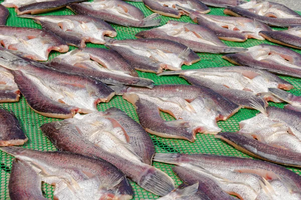 Ikan Kering Untuk Memasak Thailand — Stok Foto