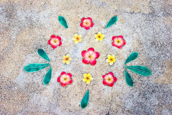Güzel Renkli Seramik Desen Arkaplanı — Stok fotoğraf
