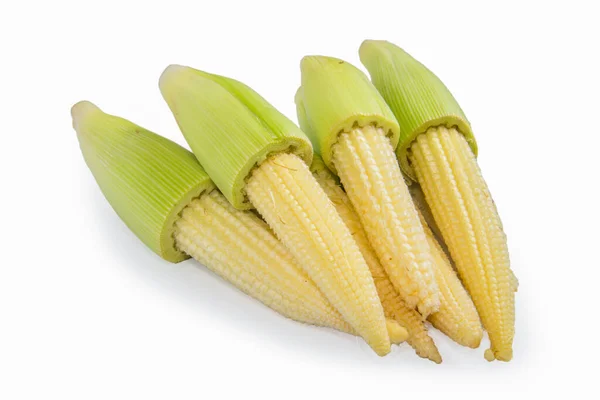 Baby Corns White Background — Stock Photo, Image