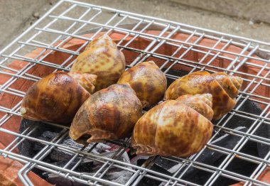 Kömür ocağında ızgara benekli bebek.