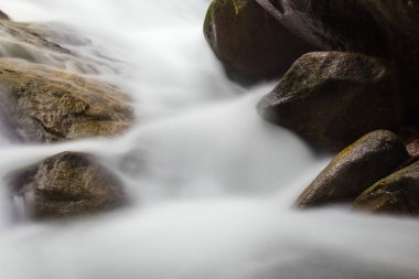 Tayland 'da şelaleye yakın.