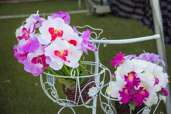 Orquídea Artificial Cesta Rattan — Fotografia de Stock
