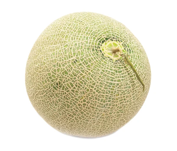 Cantaloupe Meloen Witte Achtergrond — Stockfoto