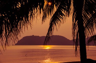 Günbatımında tropik plaj. Doğa arkaplanı