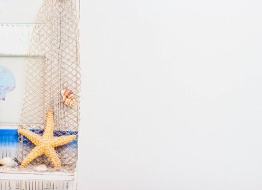 Duvar beyazı, deniz yıldızı, kabuklu deniz hayvanı.