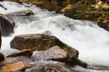 Tayland 'da şelaleye yakın.