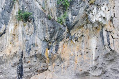 Kaya dokusu arkaplan kayalıkları.