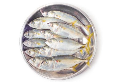 Taze uskumru balığı.