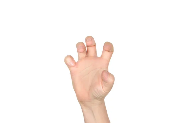 Vrouw Hand Geïsoleerd Wit — Stockfoto