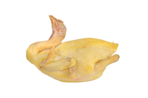 Gotowany Kurczak Izolowany Białym Tle — Zdjęcie stockowe