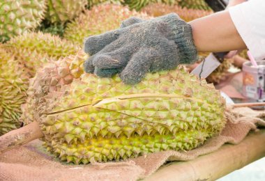 Tayland 'da durian meyvesi soymak
