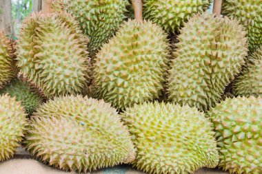 Tayland pazarında Durian grubu