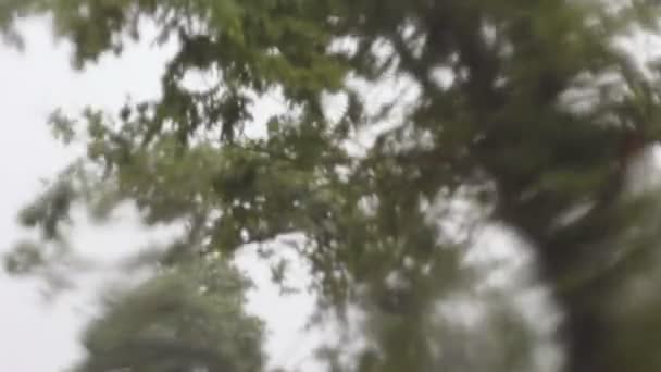 Des Gouttes Pluie Coulent Sur Une Fenêtre Sous Arbre Jour — Video