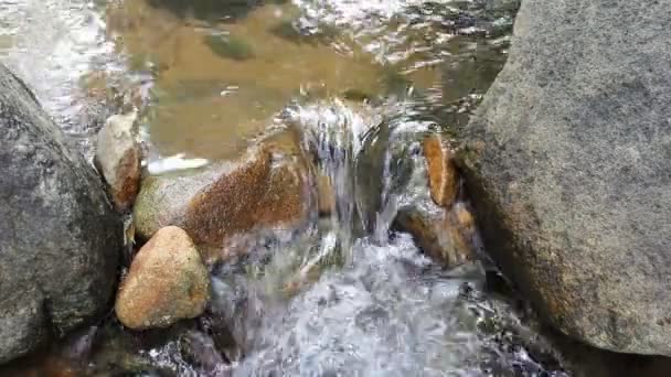 泰国与Gerridae的瀑布接近 — 图库视频影像