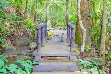 Derenin üzerindeki eski köprü