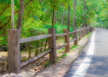 Kırsal yol boyunca tahta çitler.