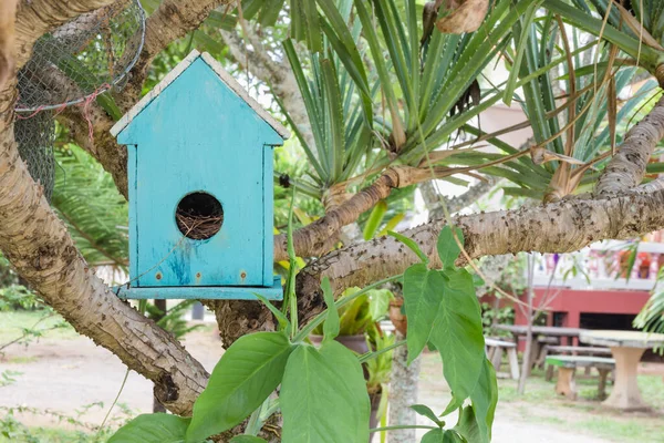 Vogelhuis Een Boom — Stockfoto