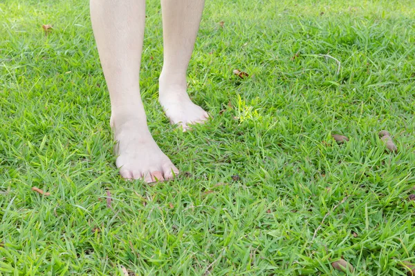 Lesión Pies Femeninos Hierba — Foto de Stock