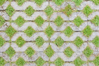 Yeşil çimenli taş blok yürüyüş yolu