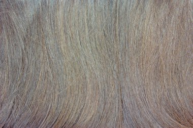 arkaplan olarak kuru saç dokusu