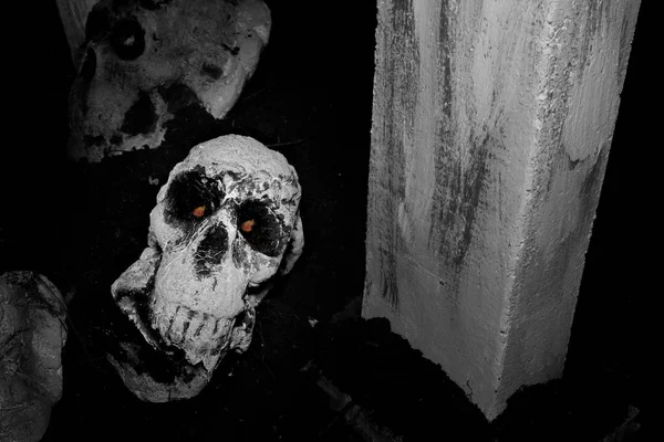 坟墓场中的骷髅 过滤效果 — 图库照片