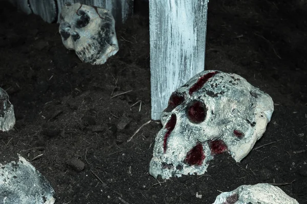 묘지에 두개골 — 스톡 사진